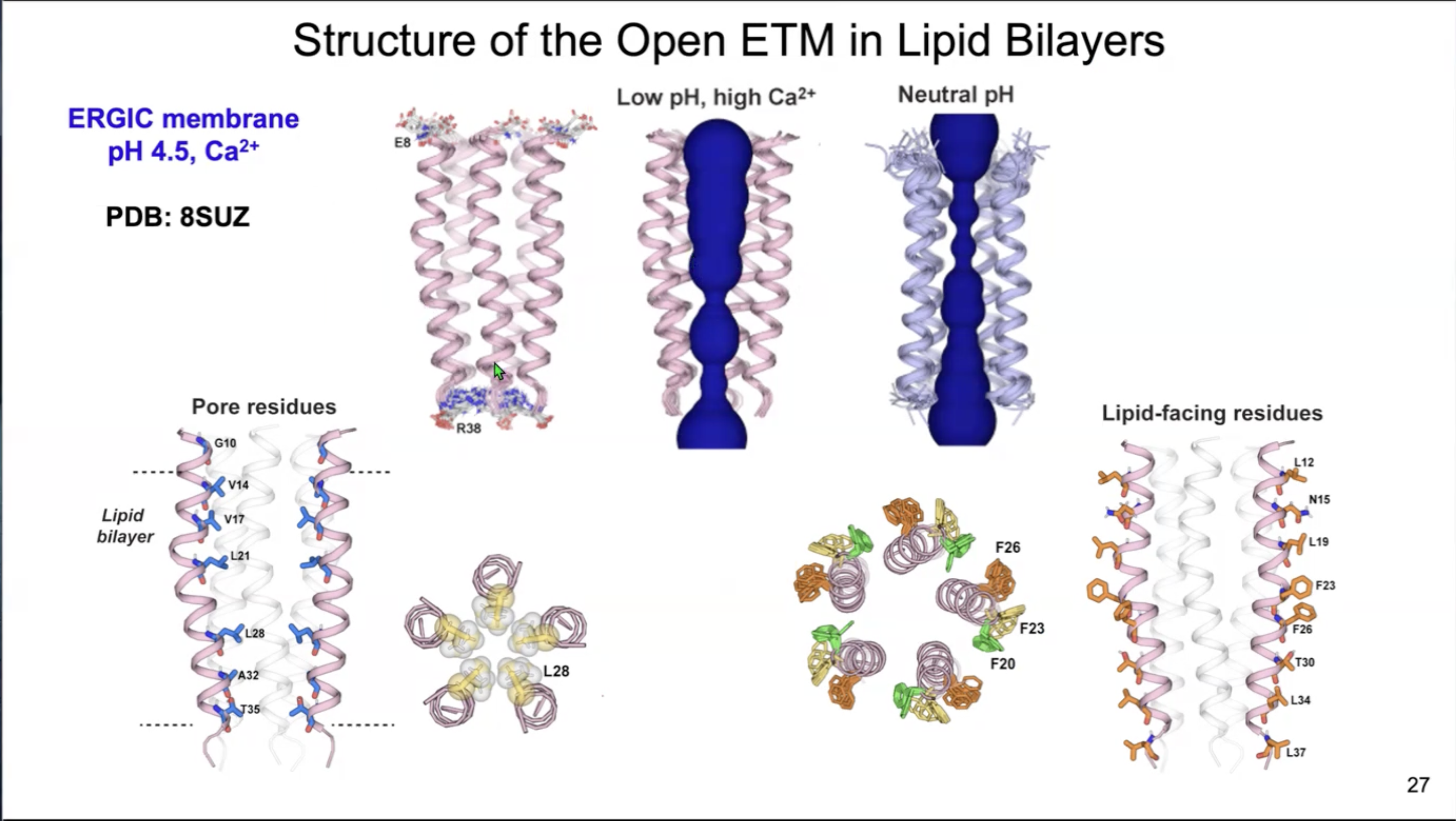 CCeMMP Seminar Series – Prof. Mei Hong – Dec 2024